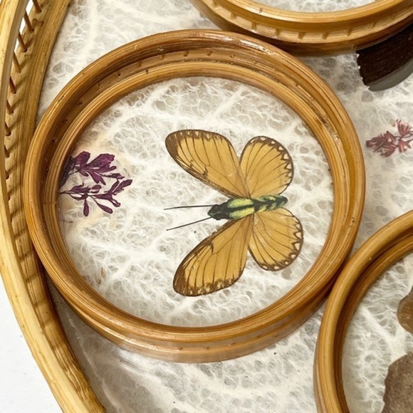 Vintage MCM Pressed Butterfly Bamboo Tray &‎ Coaster Set 6 Pieces - Picture 7 of 13